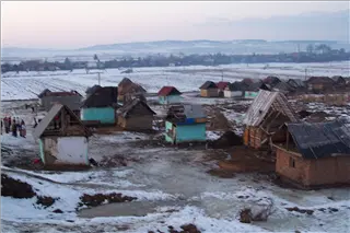 small_reeses 028.webp